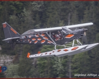 TSR Watermark - 0310
